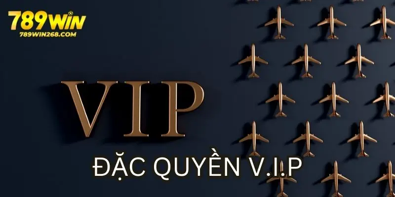 Các đặc quyền bạn được nhận khi tham gia VIP